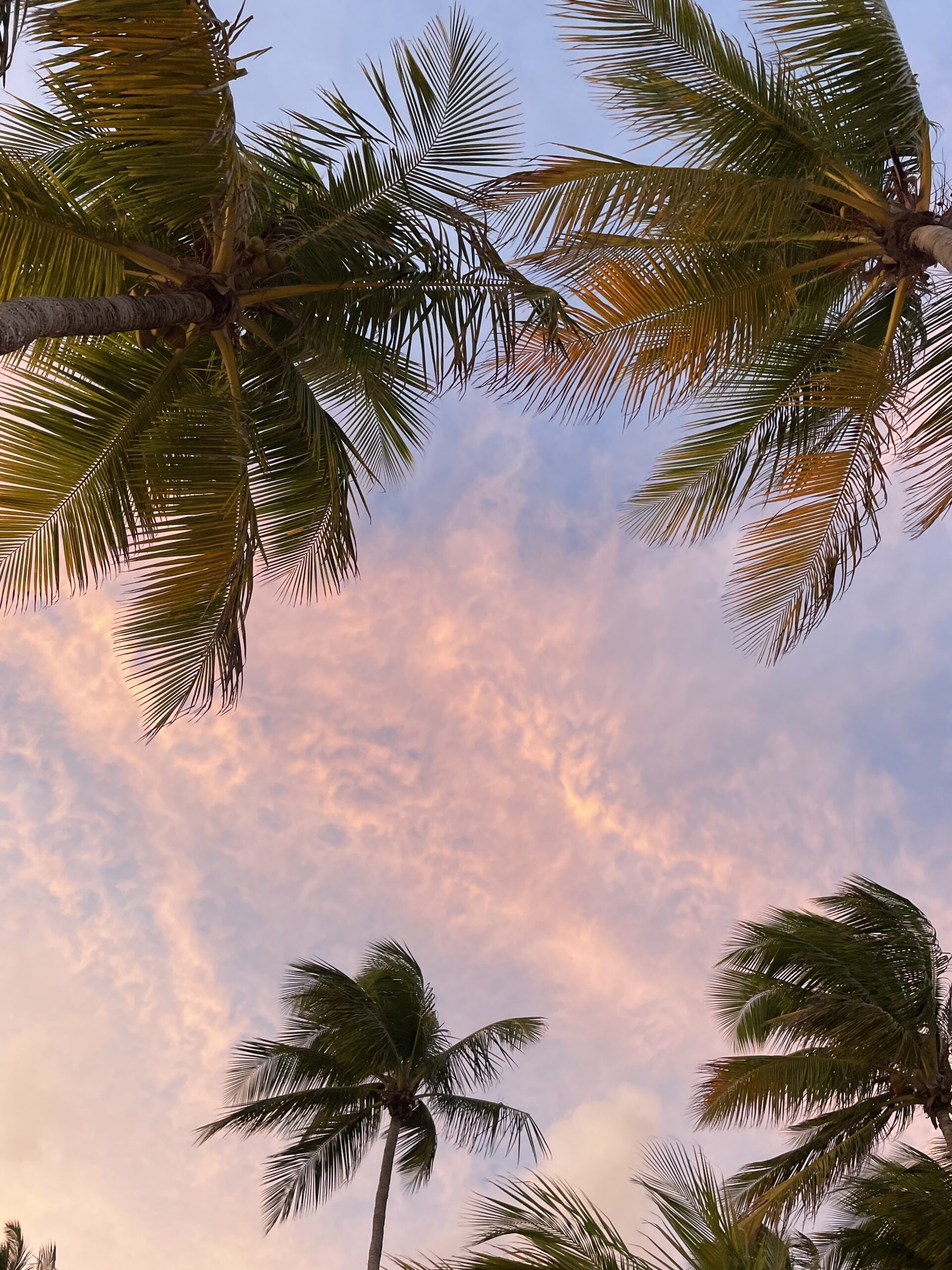 Couché de soleil en Guadeloupe