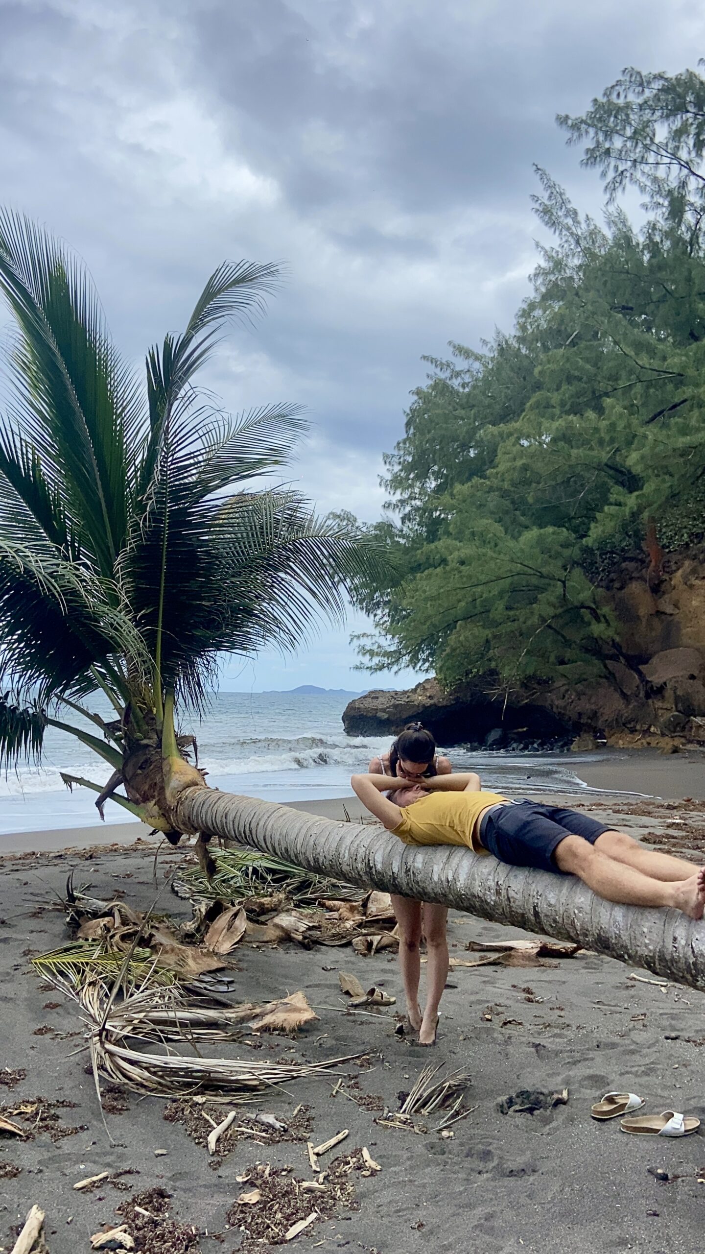 Les canailles sur une plage de sable noir en Guadeloupe