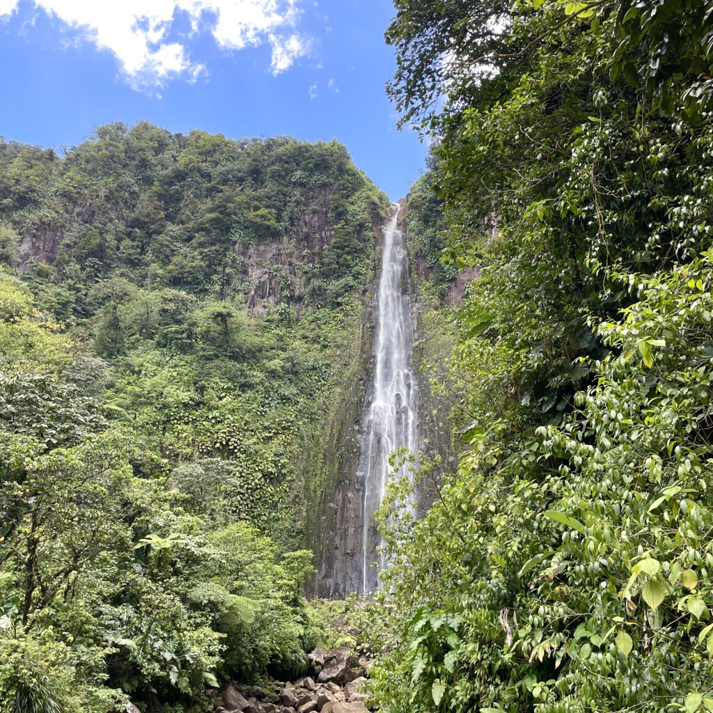 Chute du Carbet