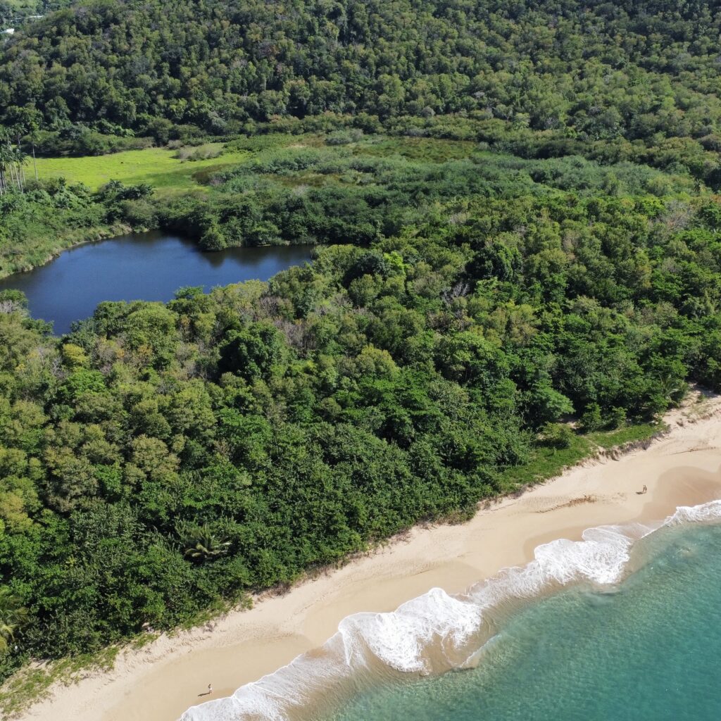 Plage de la Grande Anse
