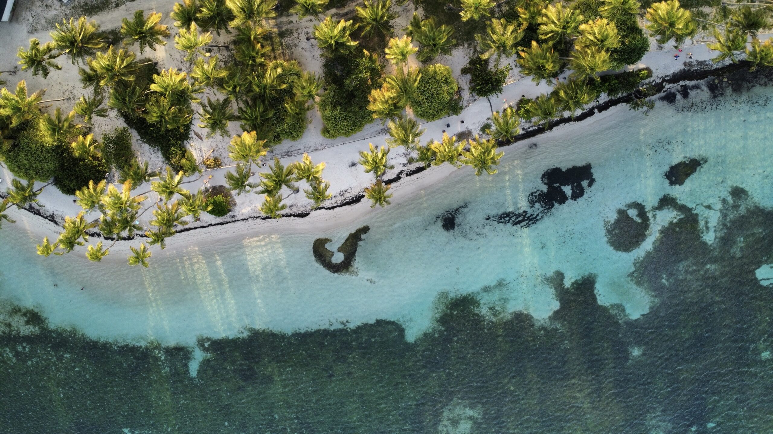 L'itinéraire pour la plage de la Caravelle en Guadeloupe