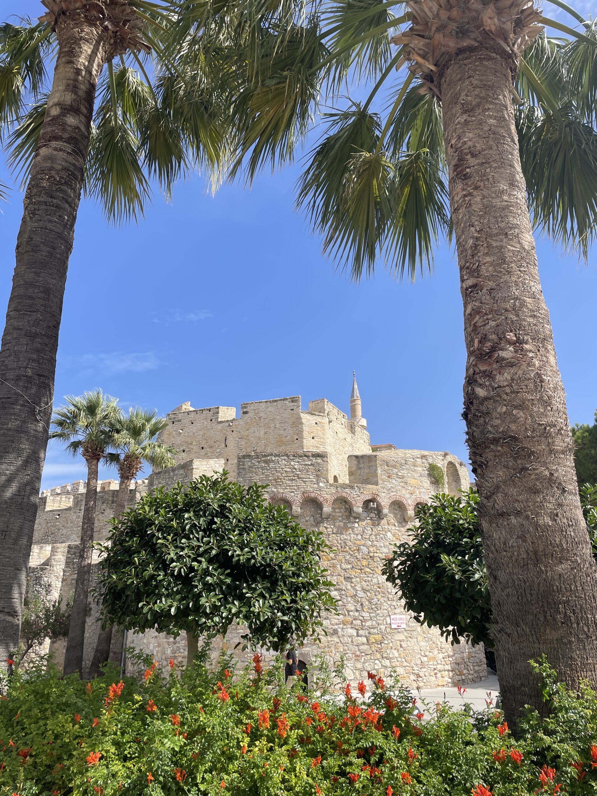 Chateau de Ceşme