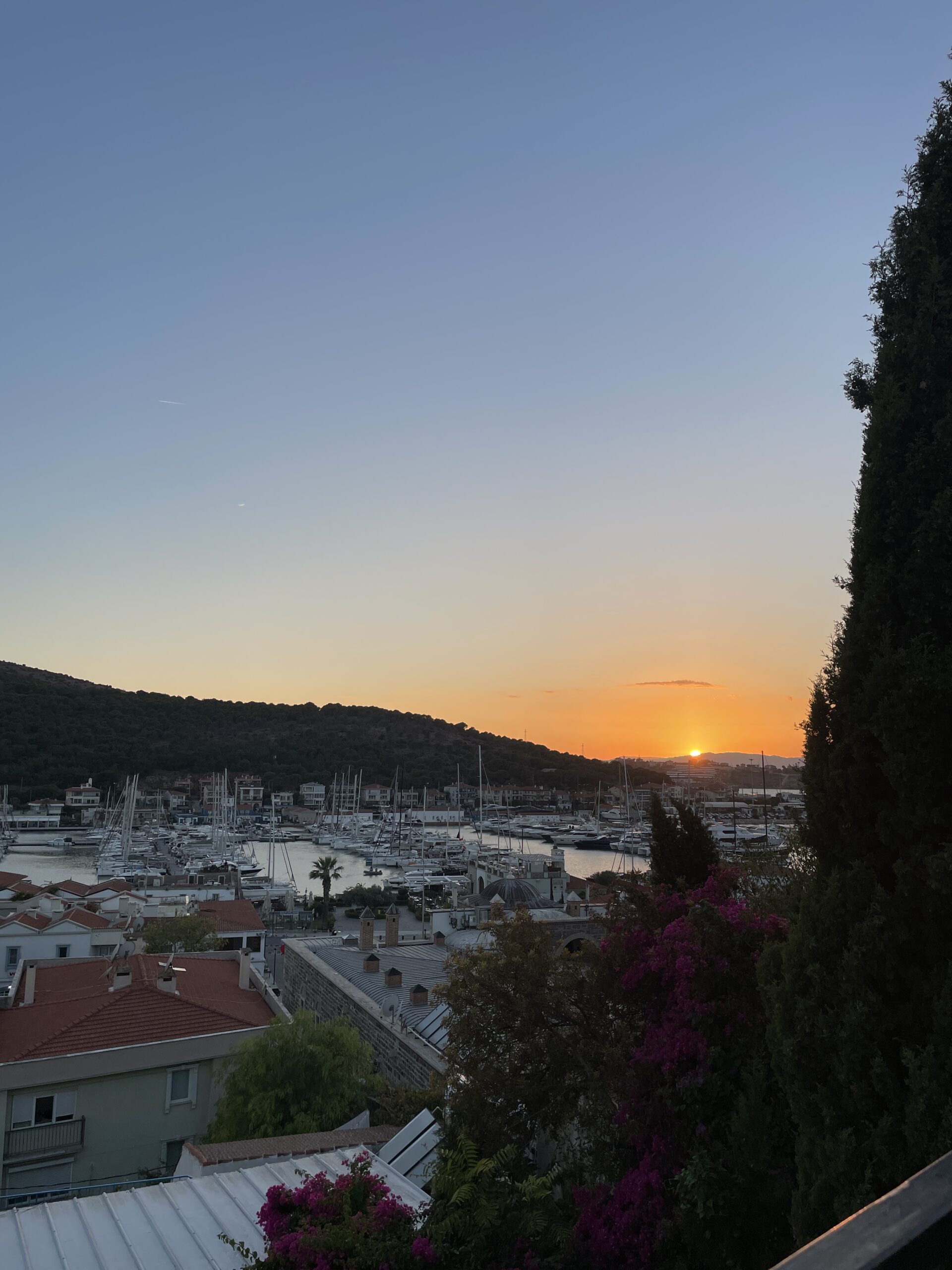 Diner sur la marina à Cesme